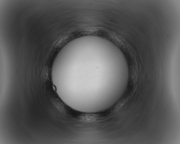 X0000086720758200705041327