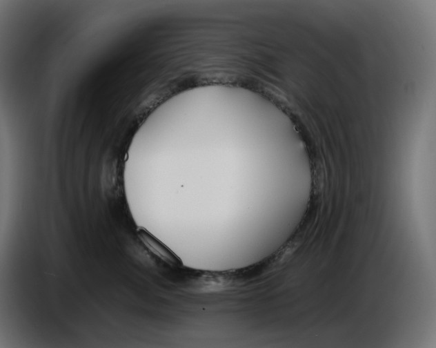 X0000086720764200705041327