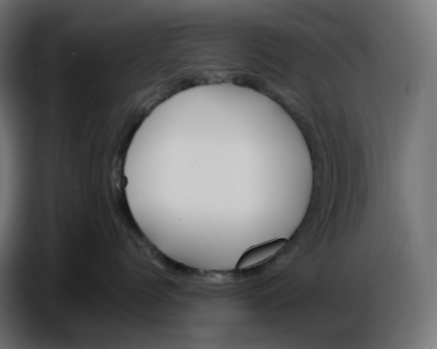 X0000086720768200705041327