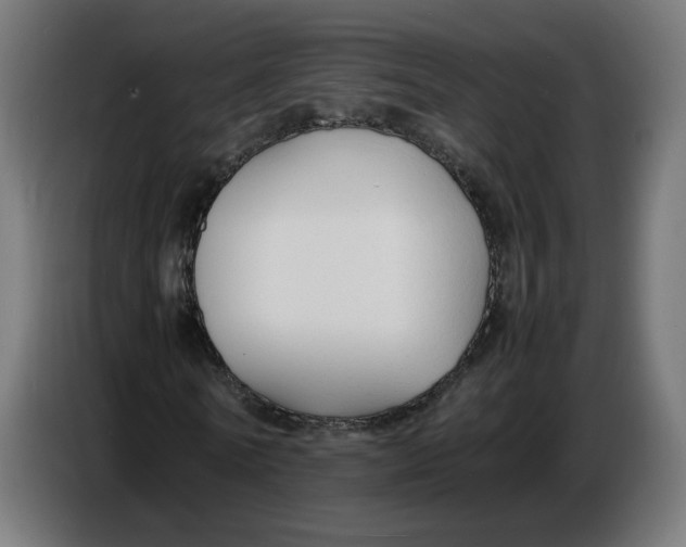 X0000086720770200705041327