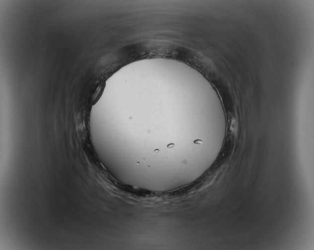 X0000086720771200705041327