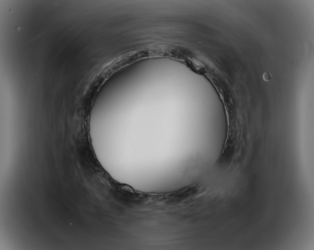 X0000086720773200705041327