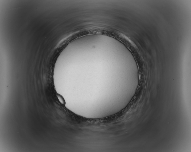 X0000086720775200705041327