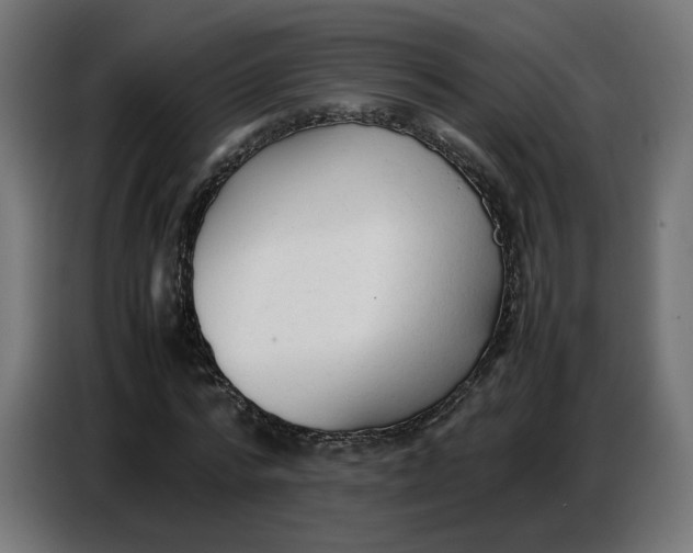 X0000086720776200705041327