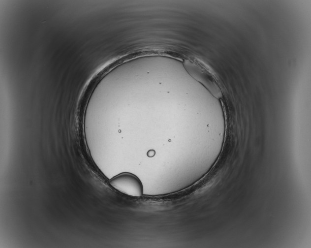 X0000086720779200705041327
