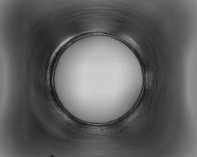 X0000086720780200705041327