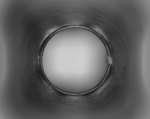 X0000086720781200705041327