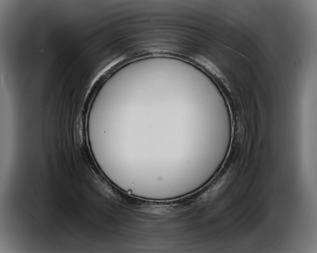 X0000086720782200705041327