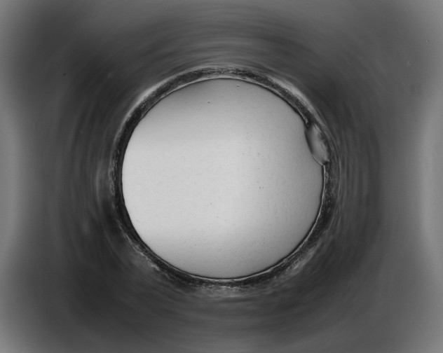 X0000086720783200705041327