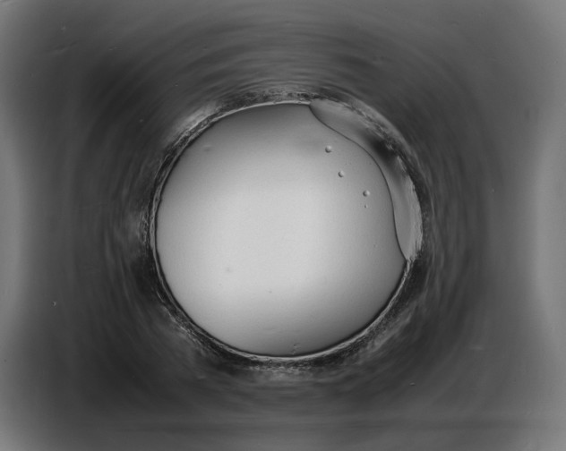 X0000086720785200705041327