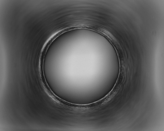 X0000086720788200705041327