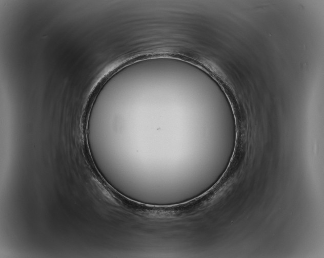 X0000086720789200705041327