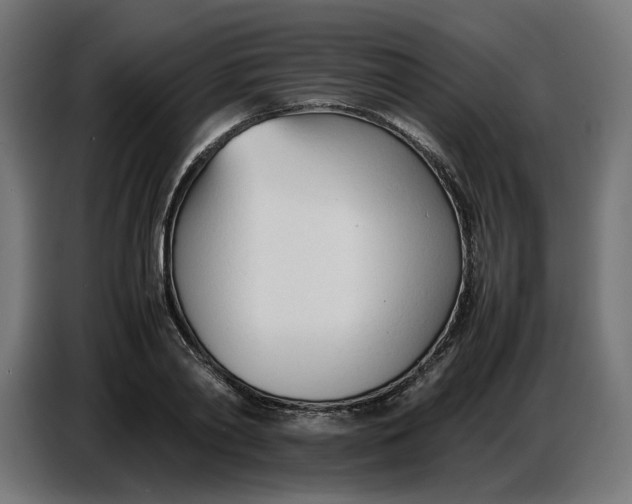X0000086720790200705041327