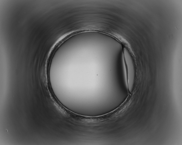X0000086720792200705041327
