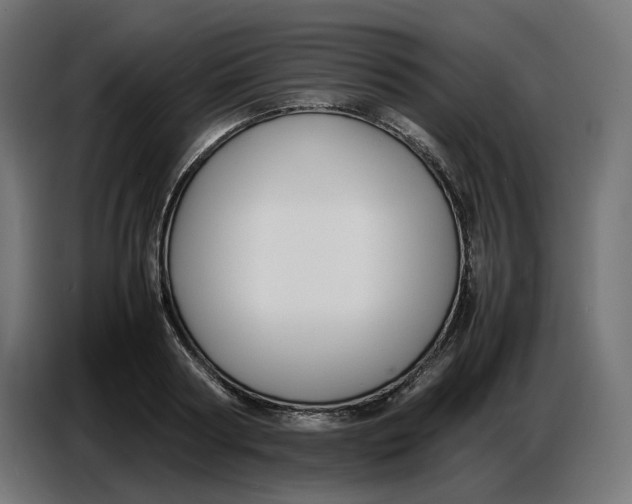X0000086720794200705041326