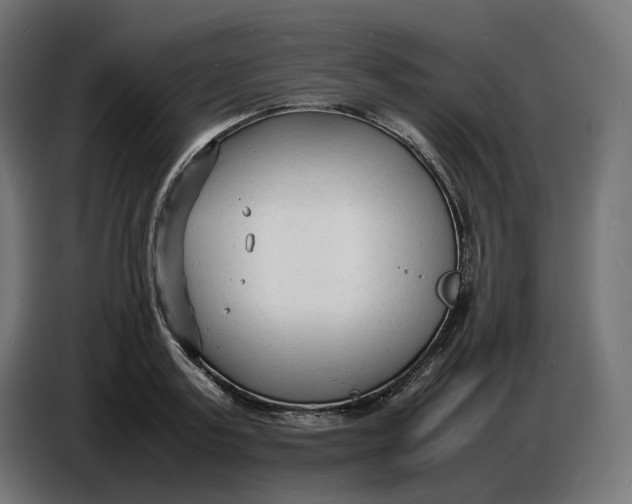 X0000086720795200705041326
