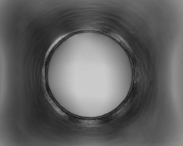 X0000086720796200705041326