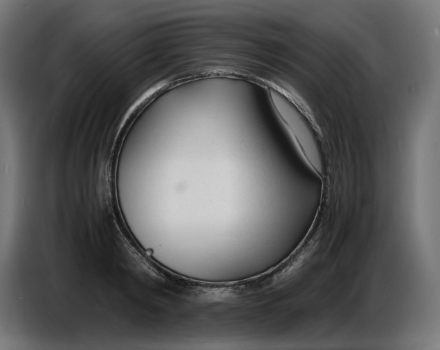 X0000086720798200705041326