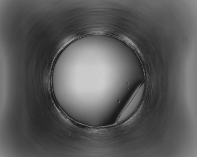 X0000086720802200705041326