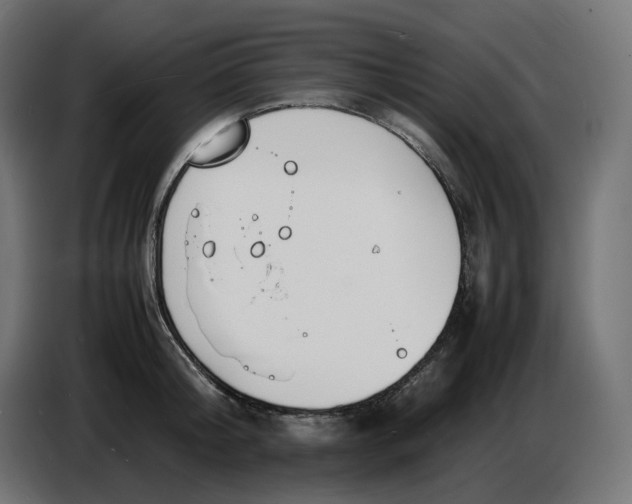 X0000086720804200705041326