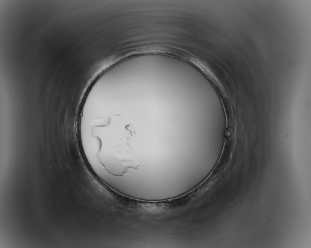 X0000086720805200705041326