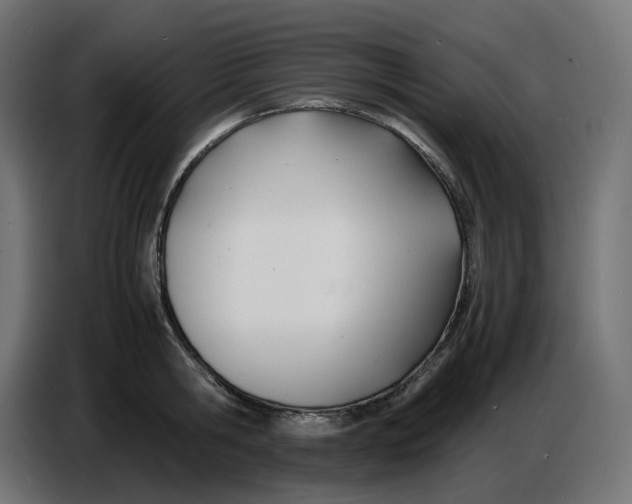 X0000086720806200705041326