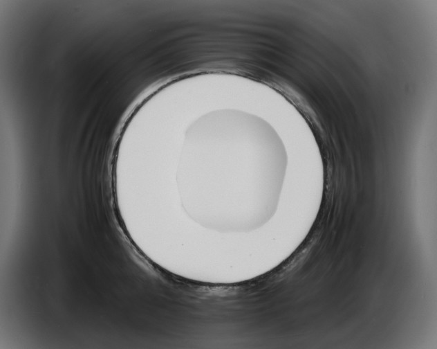 X0000086720808200705041326