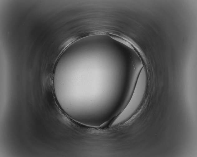 X0000086720809200705041326