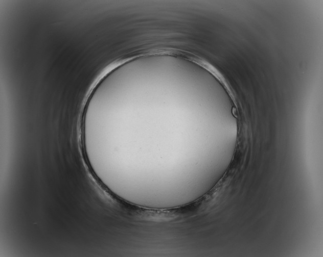X0000086720811200705041326