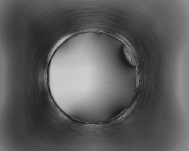 X0000086720812200705041326