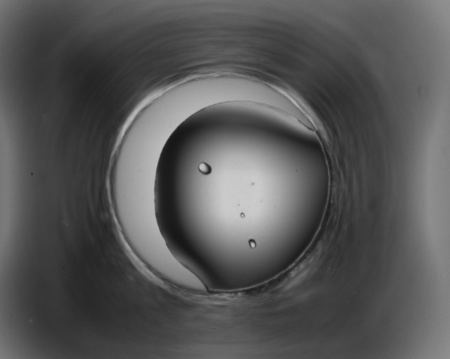 X0000086720813200705041326