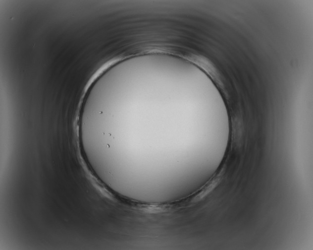X0000086720814200705041326