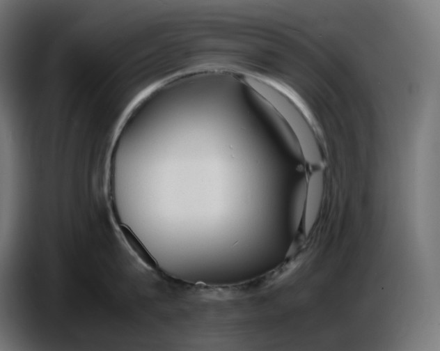 X0000086720815200705041326