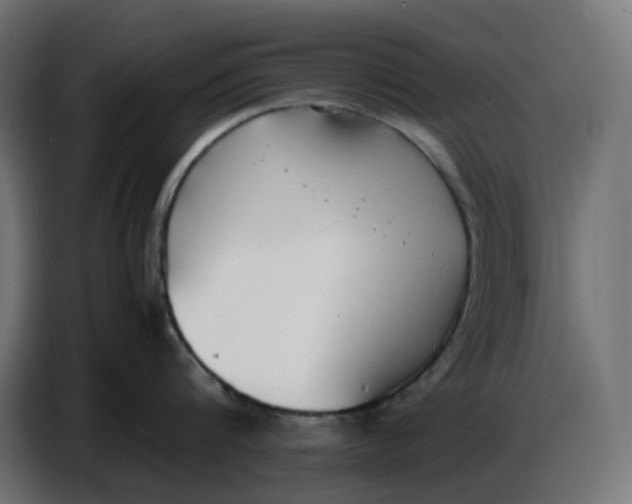 X0000086720816200705041326