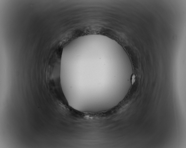 X0000086720818200705041326