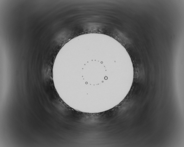 X0000086720820200705041326