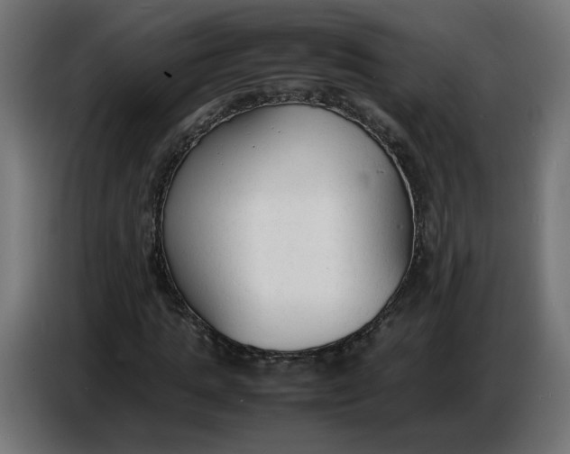 X0000086720821200705041326
