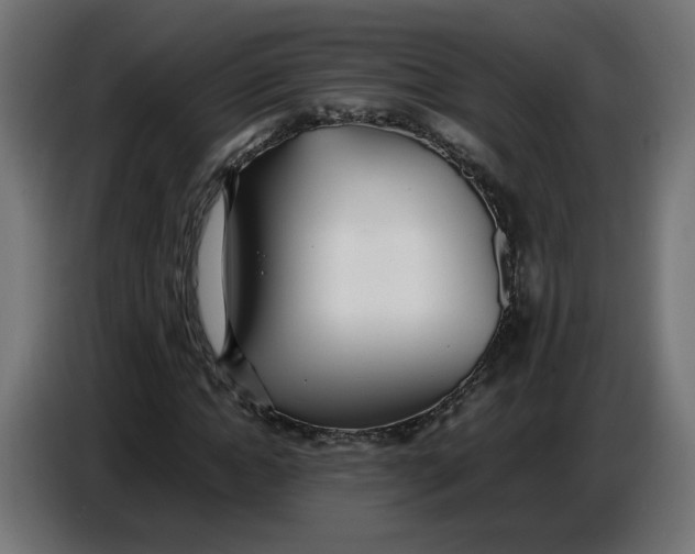 X0000086720822200705041326