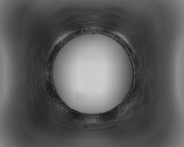 X0000086720823200705041326
