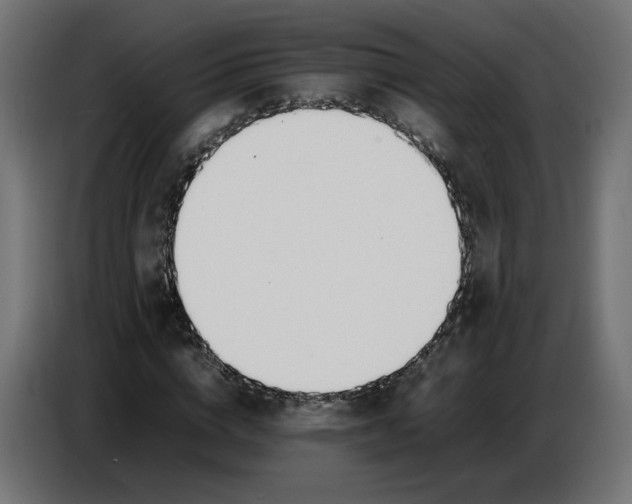 X0000086720824200705041326