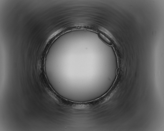 X0000086720826200705041326