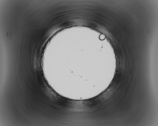 X0000086720828200705041326