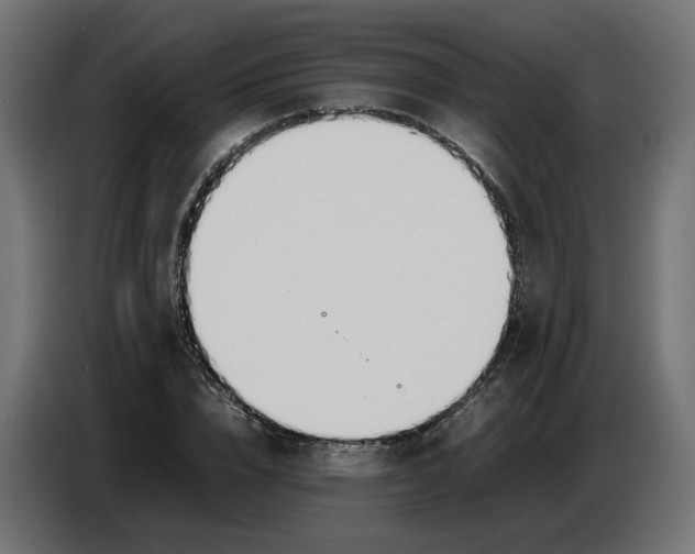 X0000086720832200705041326