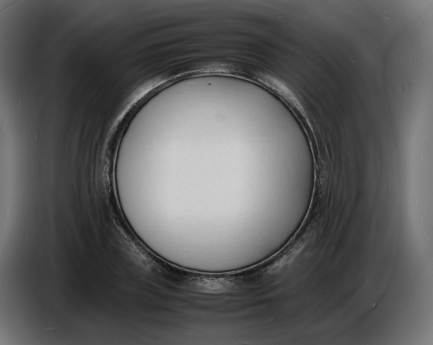 X0000086720835200705041326