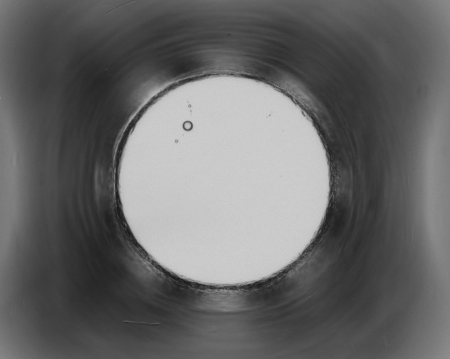 X0000086720836200705041326