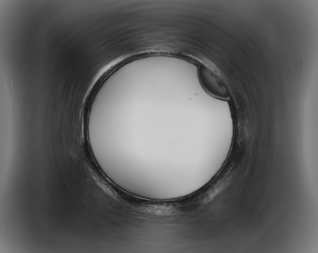 X0000086720838200705041326