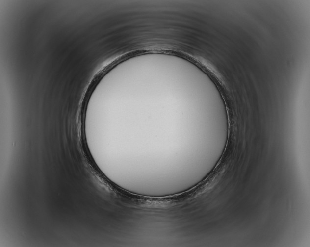 X0000086720840200705041326