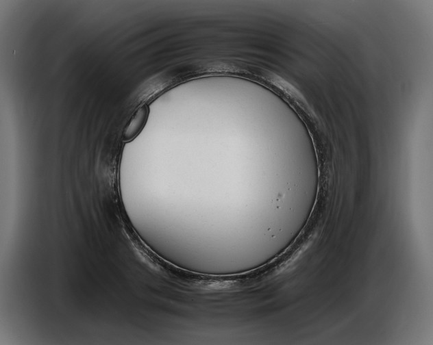 X0000086720841200705041326