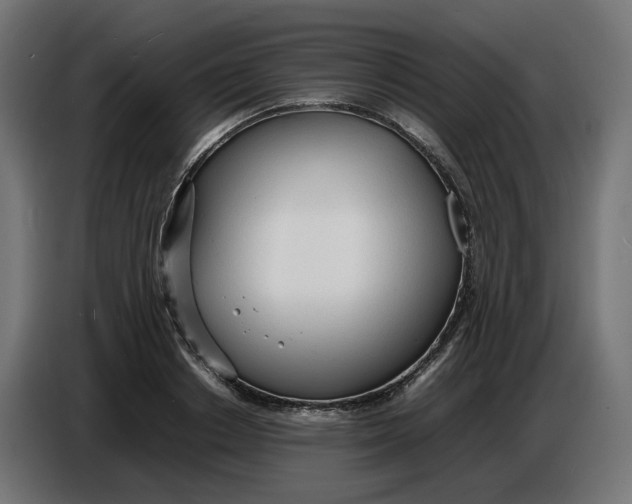 X0000086720842200705041326