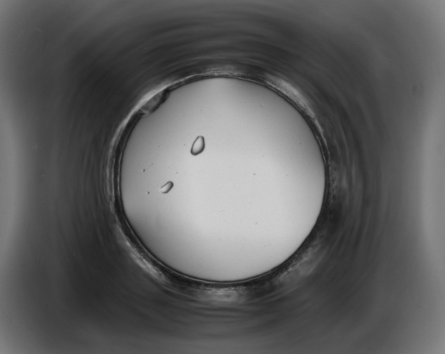 X0000086720843200705041326
